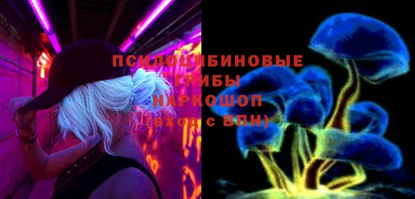 гашик Зеленодольск